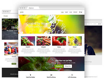 An array of easy–to–customize website themes